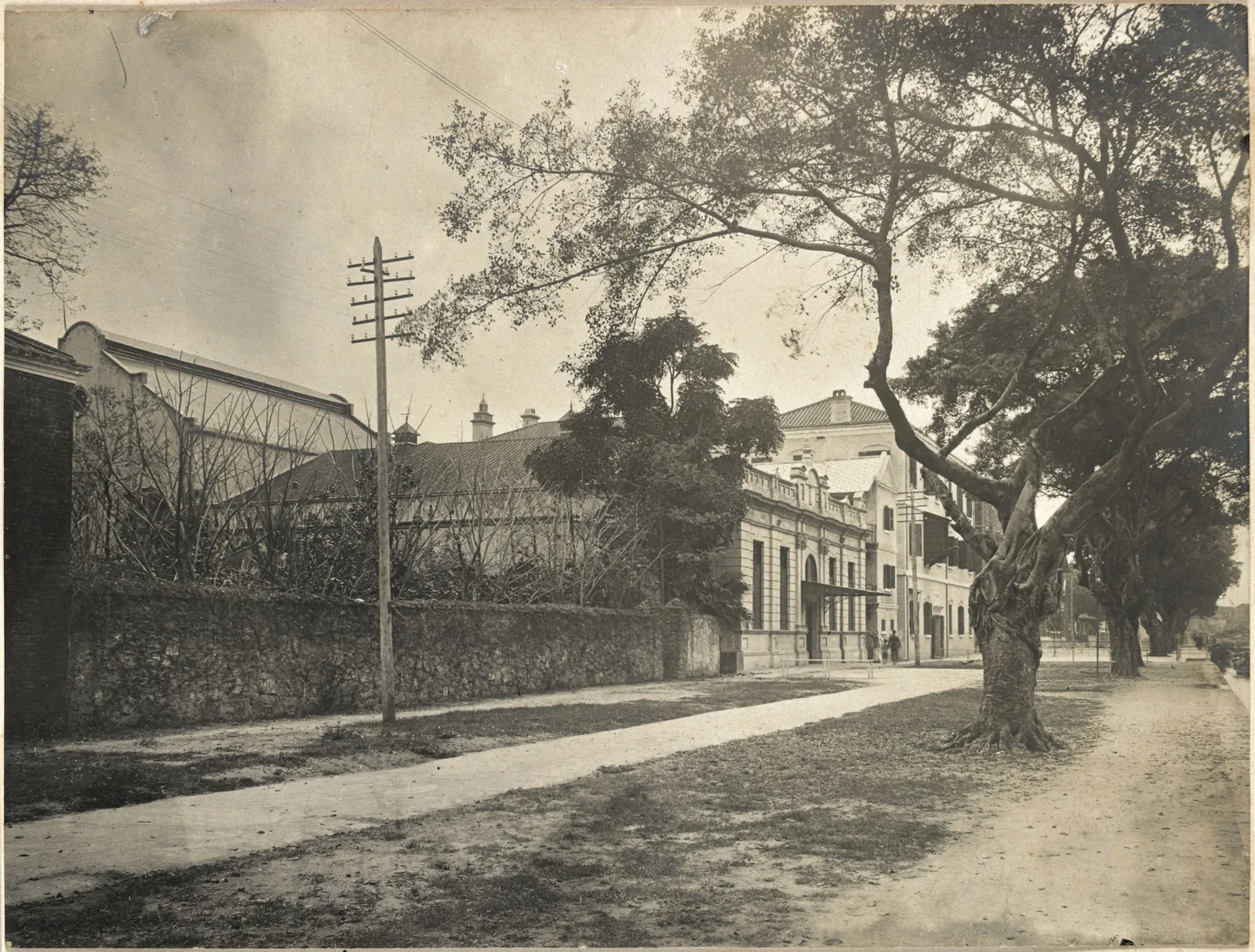 A tree-lined street with a long low building behind a wall and a telegraph pole at the kerb.